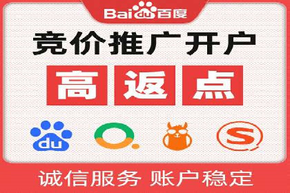 谷歌SEM案例研究：数据分析与效果评估